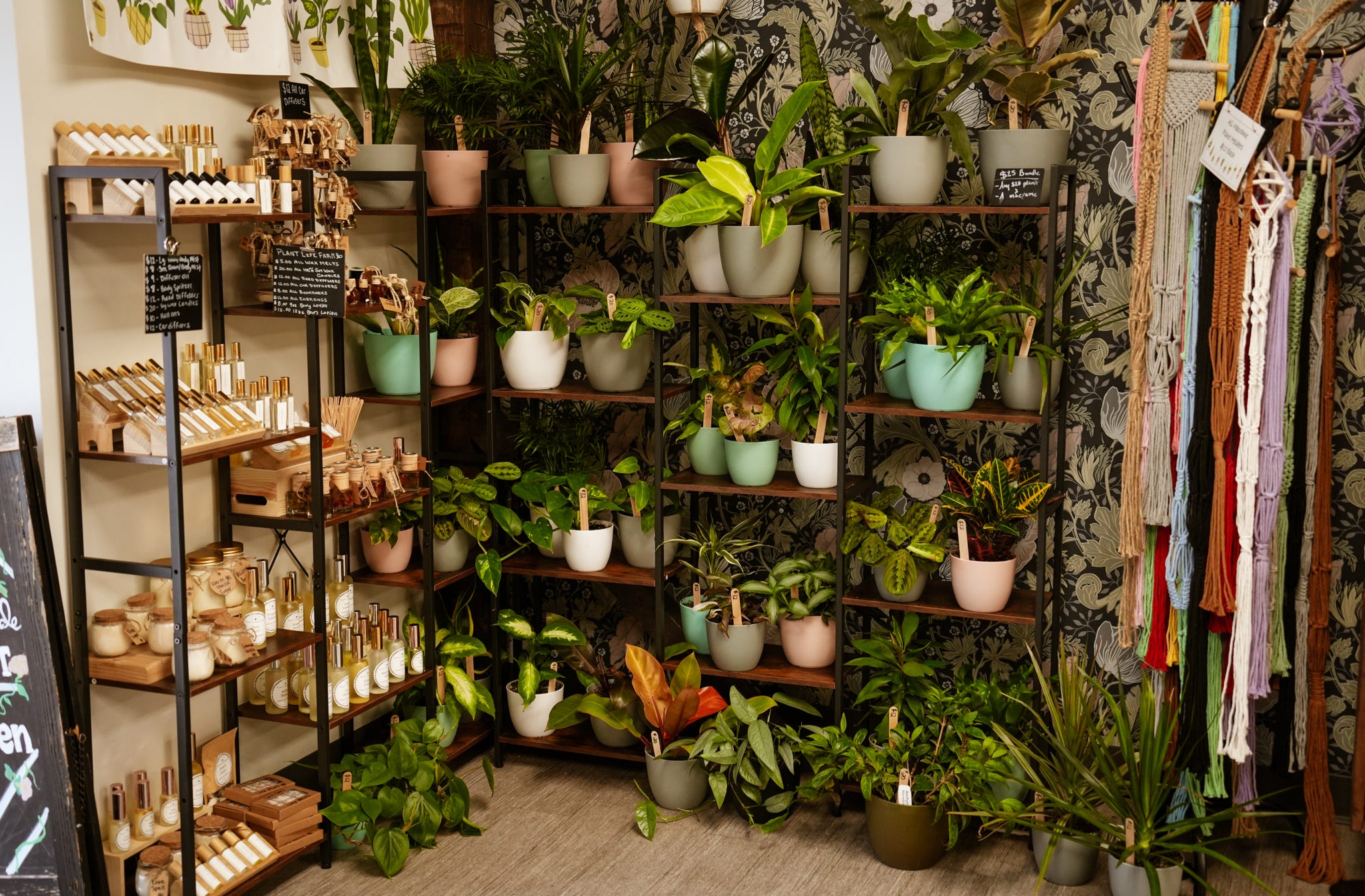 Wall of potted plants and hanging greenery inside the market